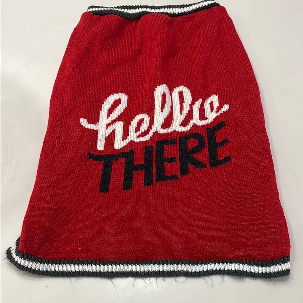 Red "Hello There" Dog Sweater XL